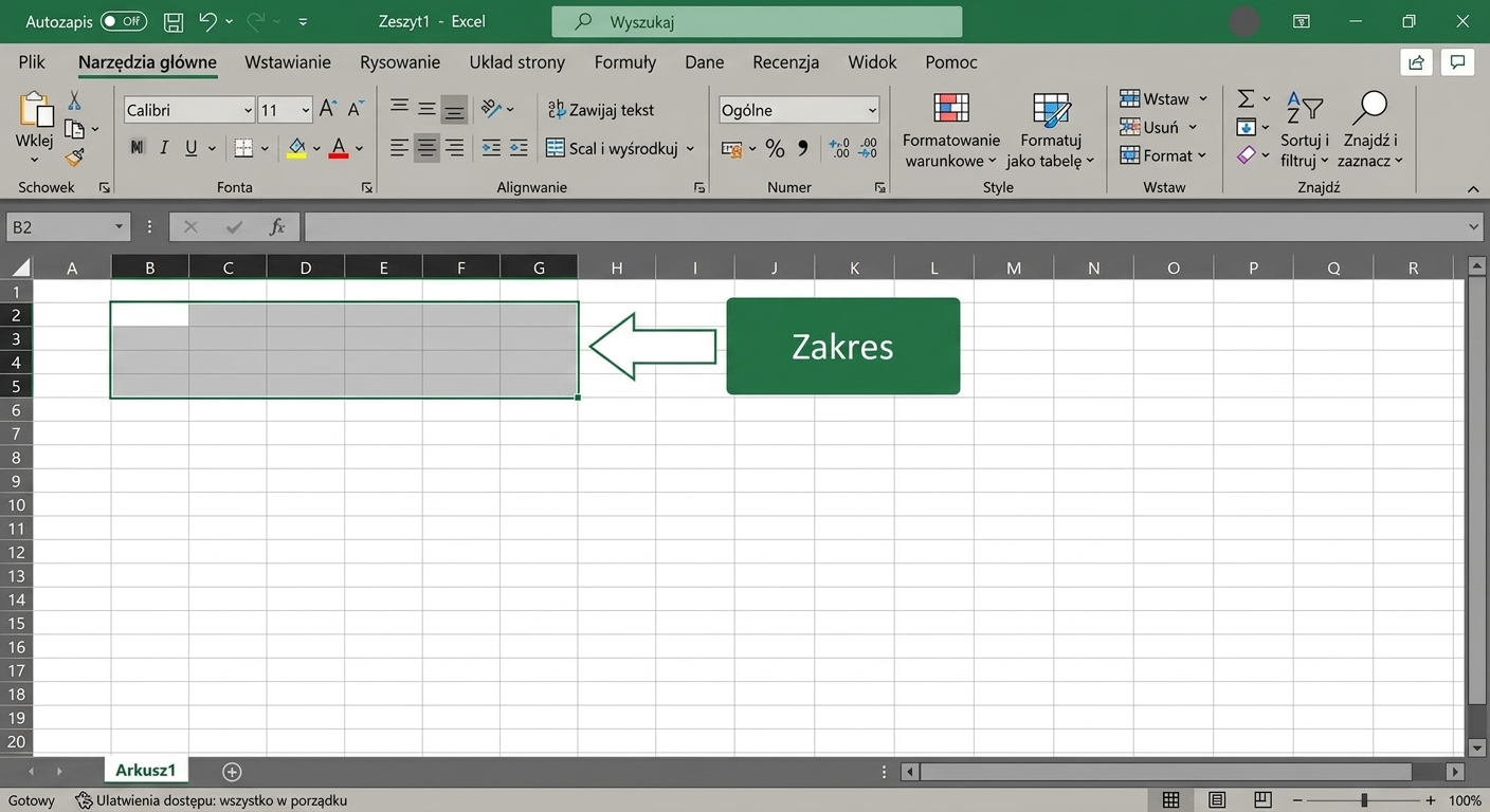 Plik Excel z zaznaczonym zakresem