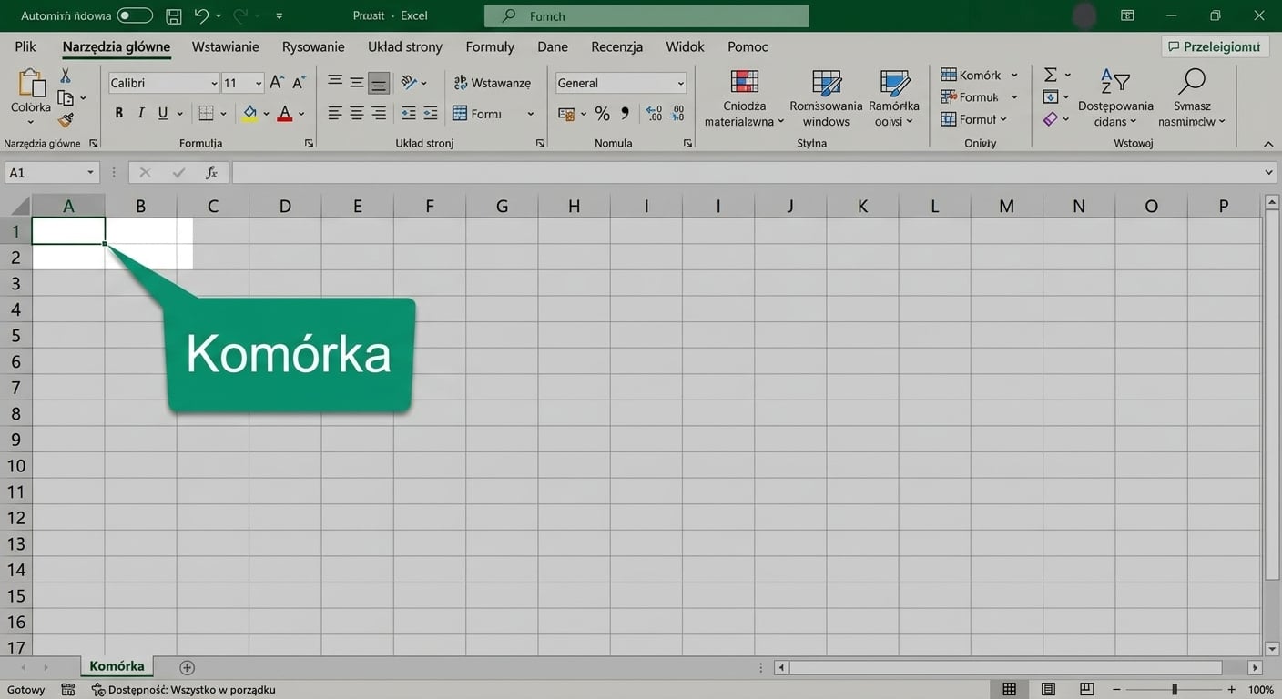 Plik Excel z zaznaczoną komórką