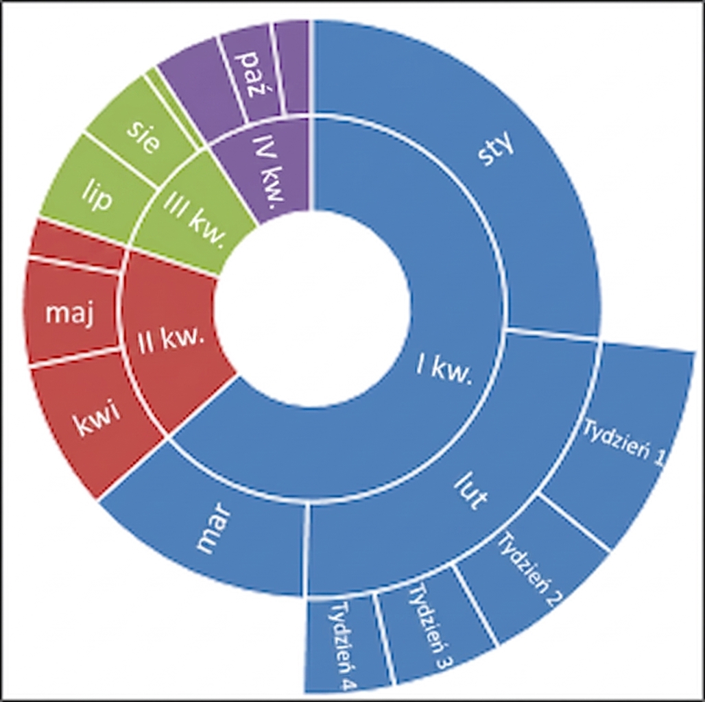 Snapshot of microsoft excel sunburst chart