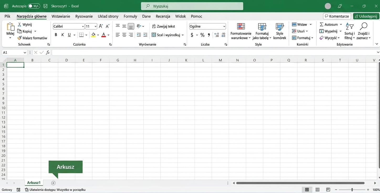 Plik Excel z zaznaczonym obszarem arkusza