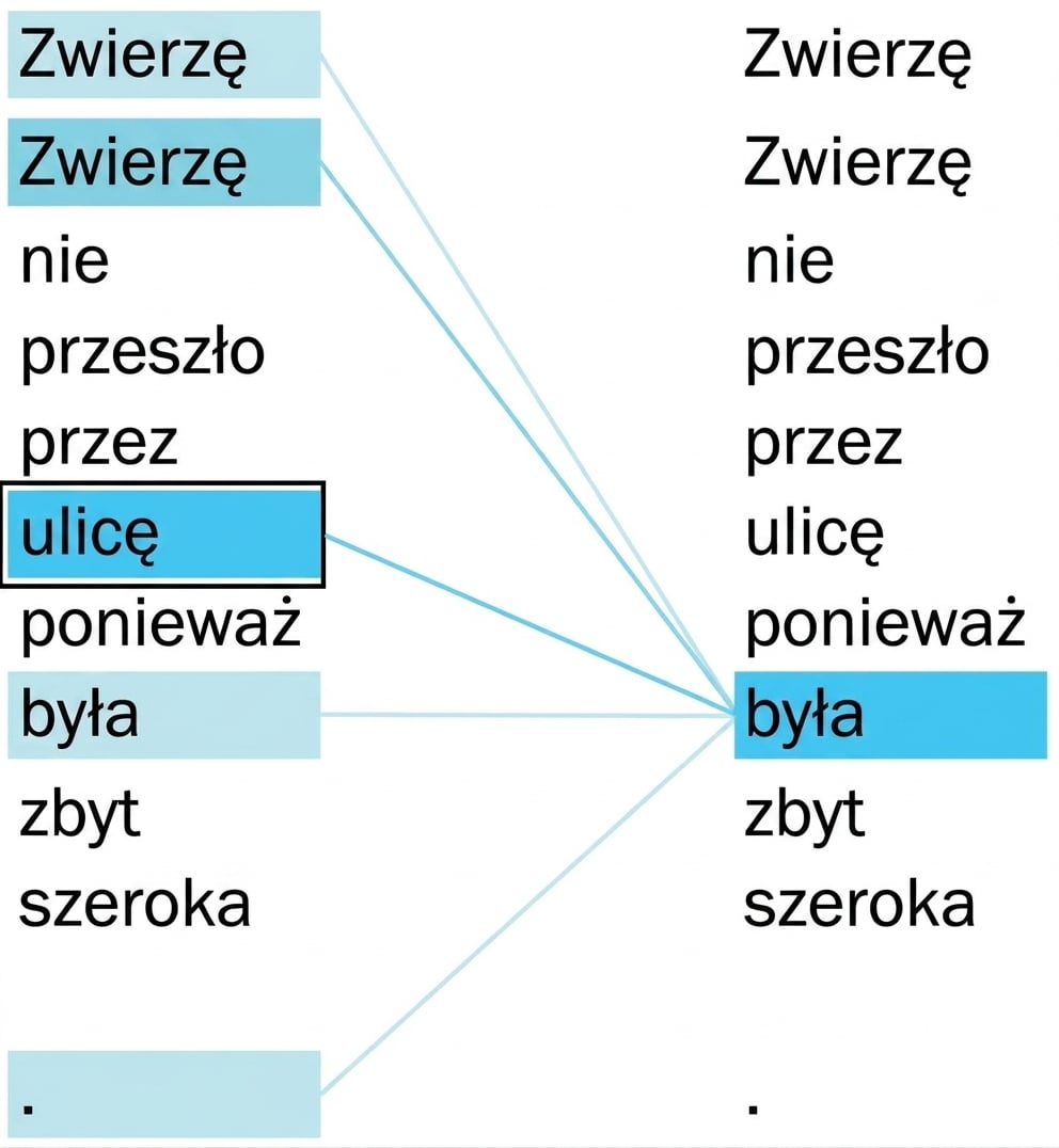 Zdanie „The animal didn't cross the street because it was too wide." Wyróżnione słowa: „it" i „street".