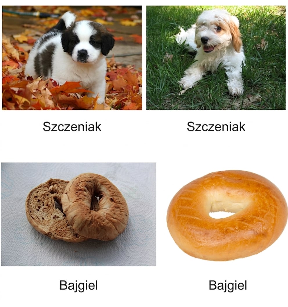 Cztery opisane obrazki – dwa szczeniaki i dwa bajgle