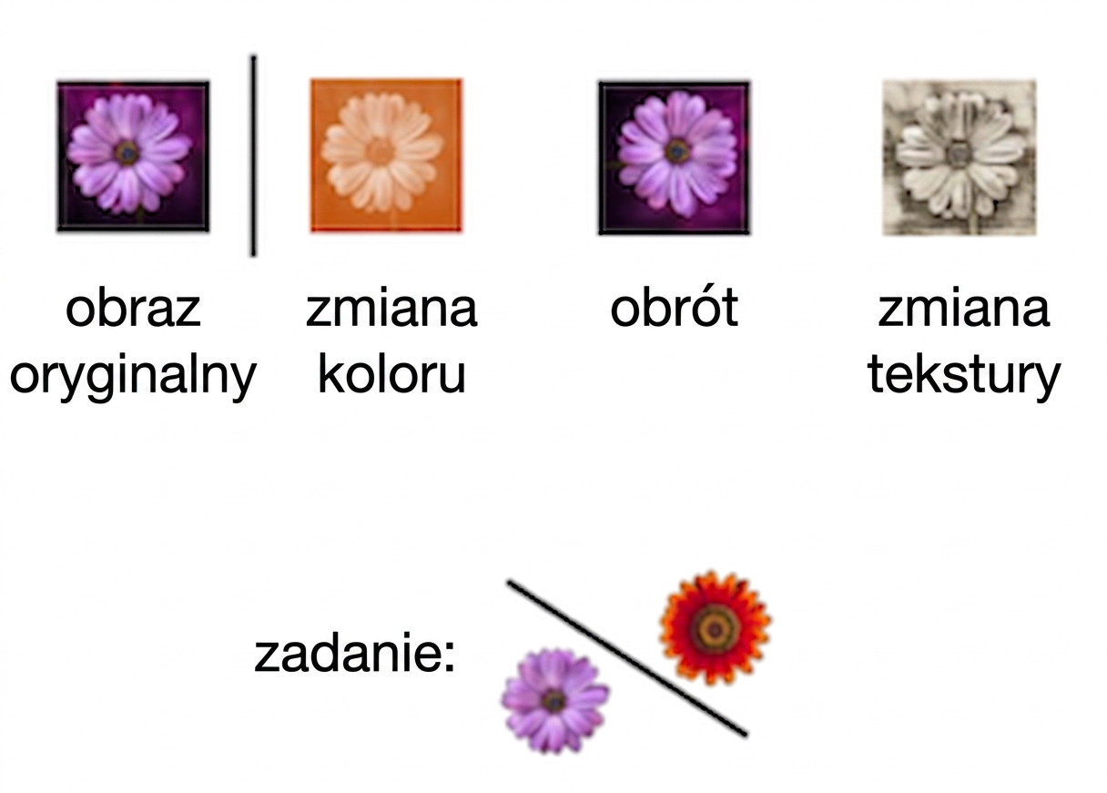 Image of a flower transformed in three ways: using rotation, color shift, and texture change.
