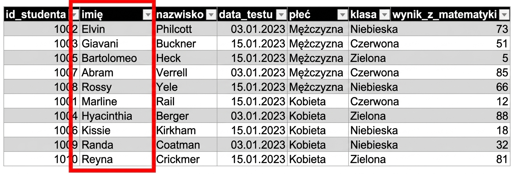 Przykładowa tabela danych testowych uczniów w Excelu z wyróżnioną kolumną tekstową full_name.