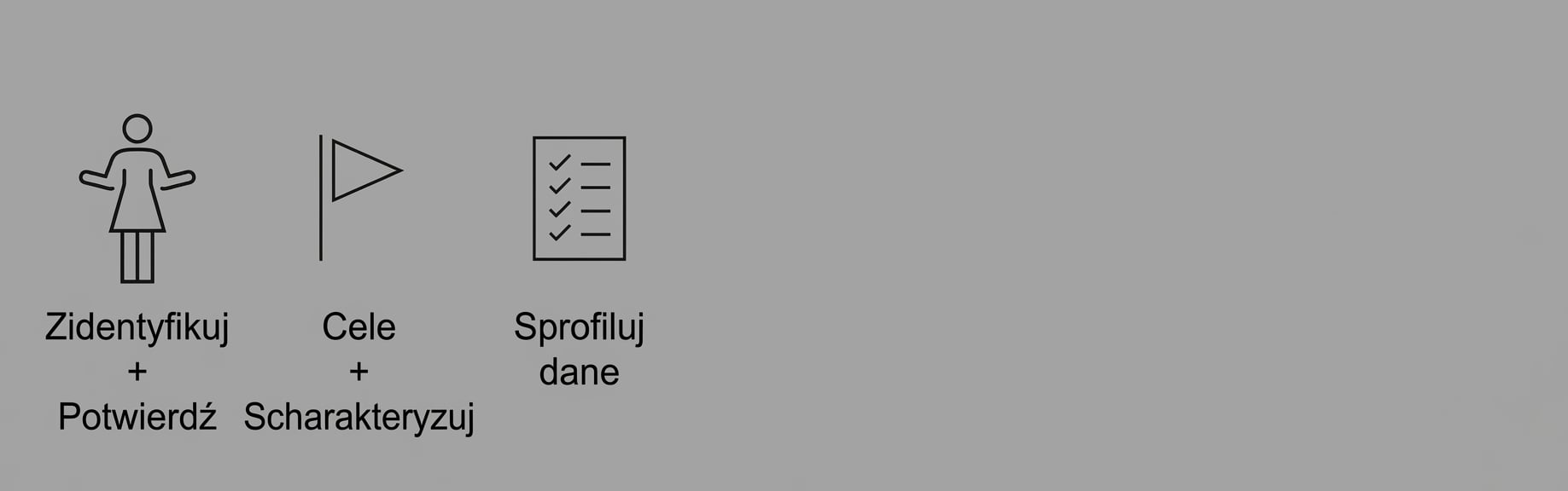 Profilowanie danych.