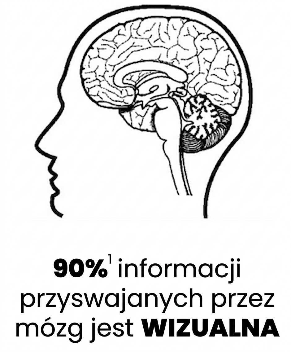 Zdjęcie ludzkiego mózgu