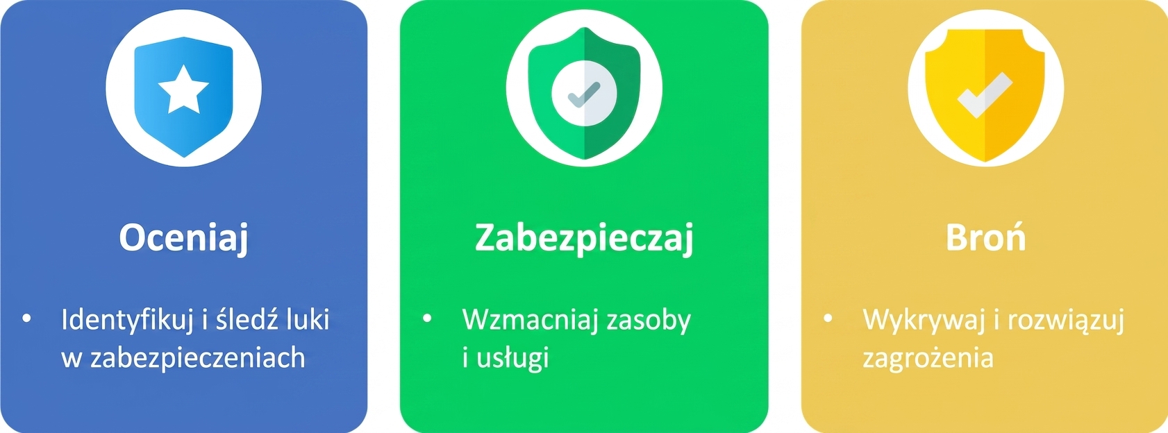 Ocena, zabezpieczanie i obrona