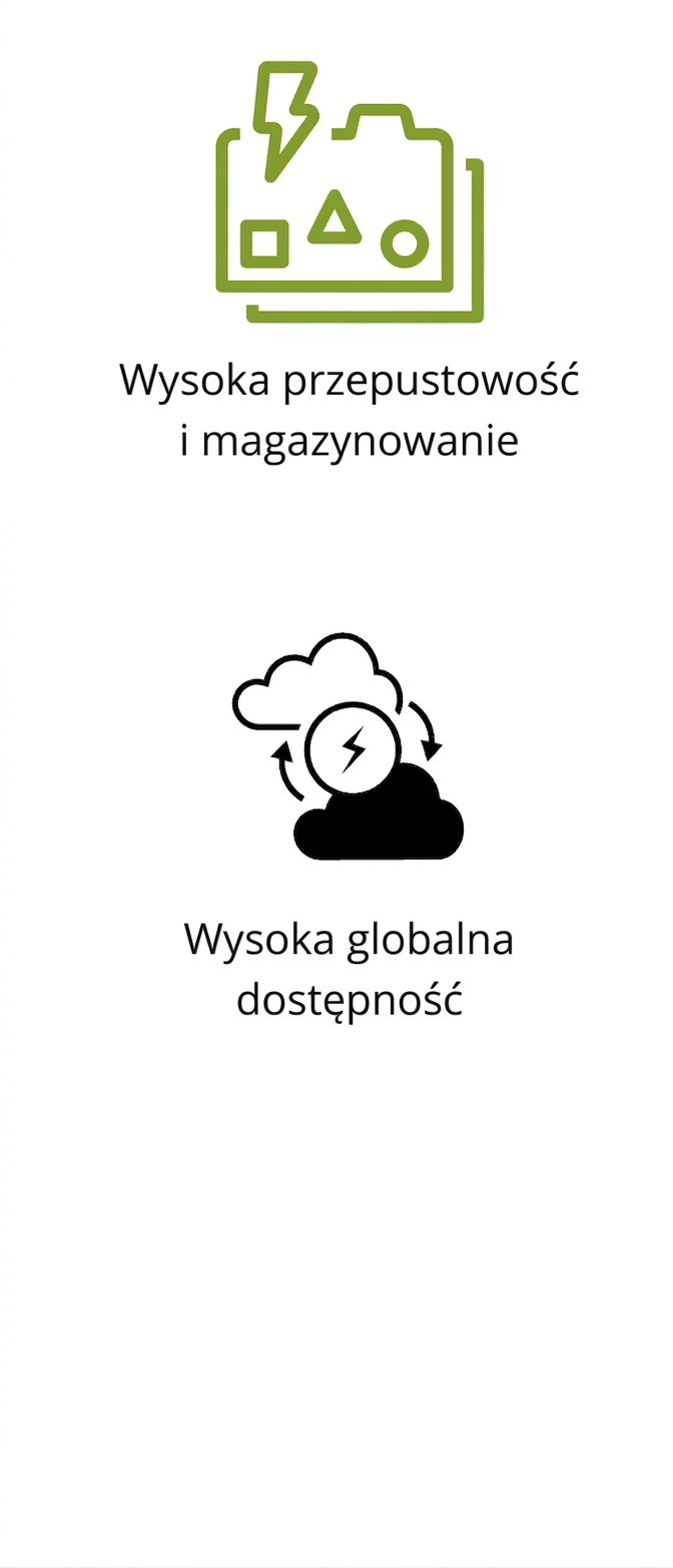 Ikony przedstawiające wysoką przepustowość i pojemność oraz globalną dostępność.