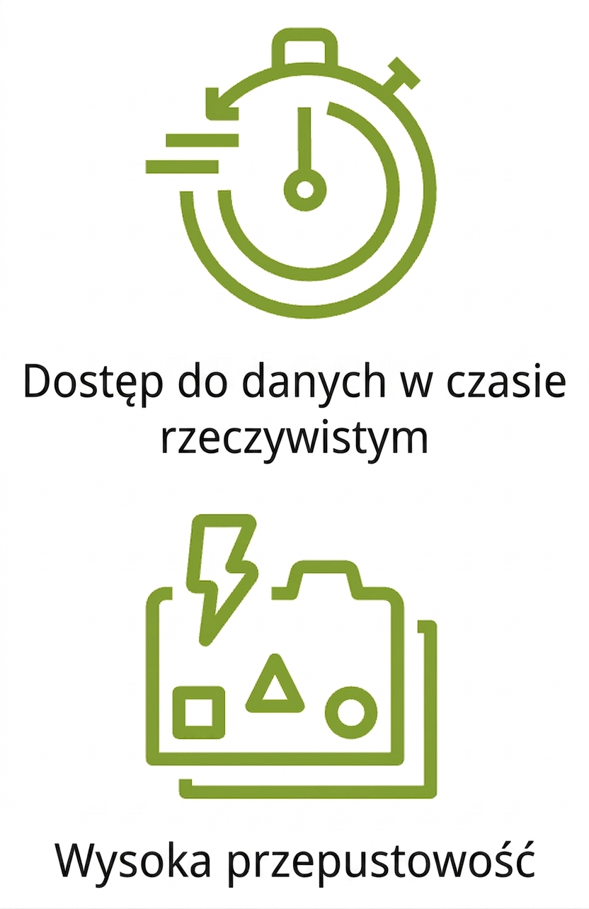 Dwie ikony przedstawiające dostęp do danych w czasie rzeczywistym i wysoką przepustowość.