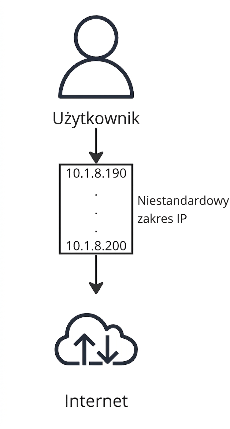 Schemat przepływu przedstawiający połączenie użytkownika z Internetem.