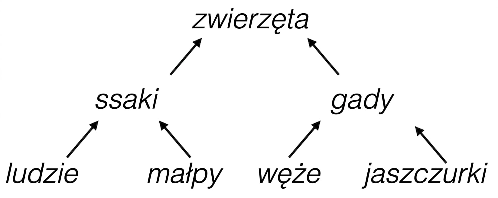 Hierarchiczne drzewo zwierząt