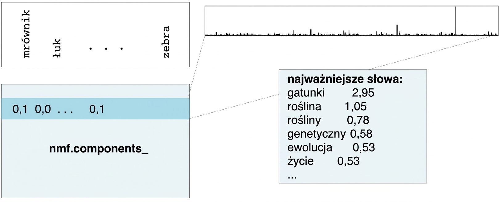 pole z najważniejszymi słowami i wartościami: species 2.95, plant 1.05, plants 0.78, itd.