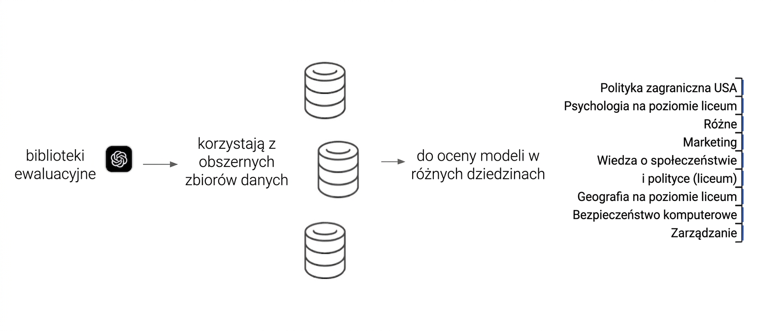 Diagram przedstawiający przykładową bibliotekę ewaluacyjną korzystającą z różnych zbiorów danych do testowania modelu