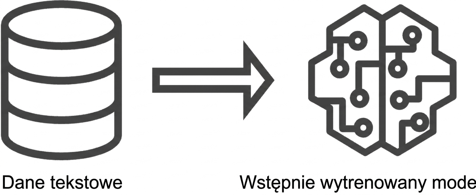 Ilustracja modelu wstępnie wytrenowanego