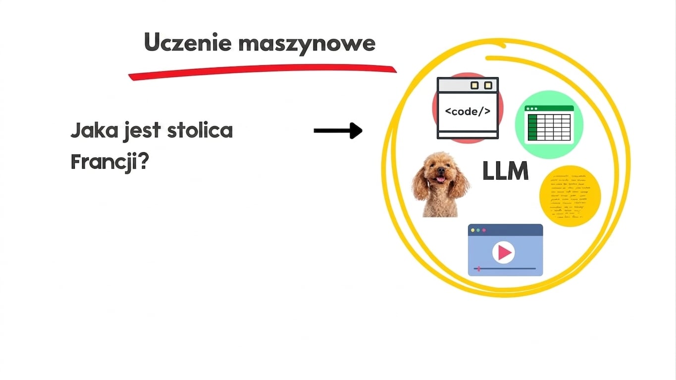 llms7.jpg