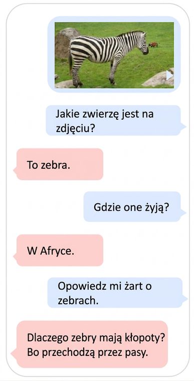 Przykład multimodalnego modelu LLM korzystającego z danych tekstowych i obrazowych
