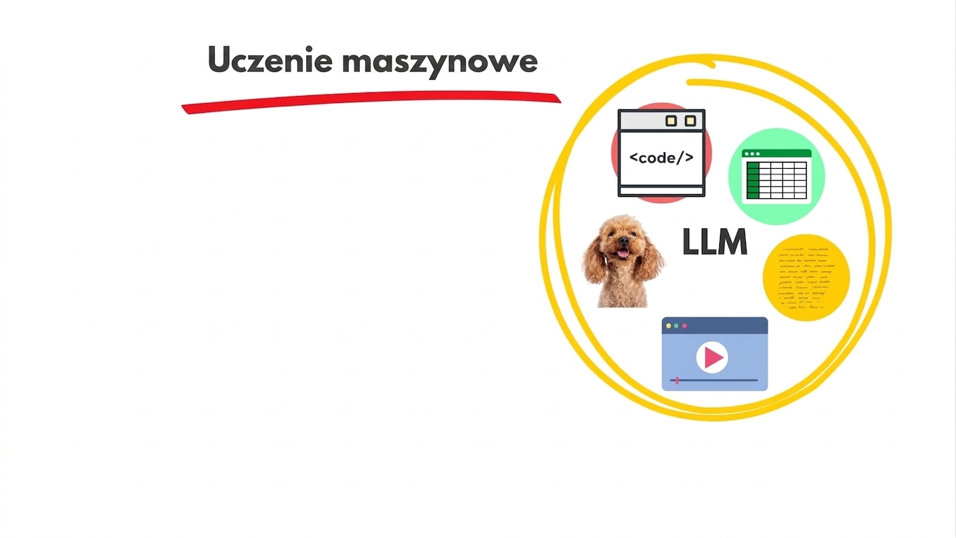 llms6.jpg