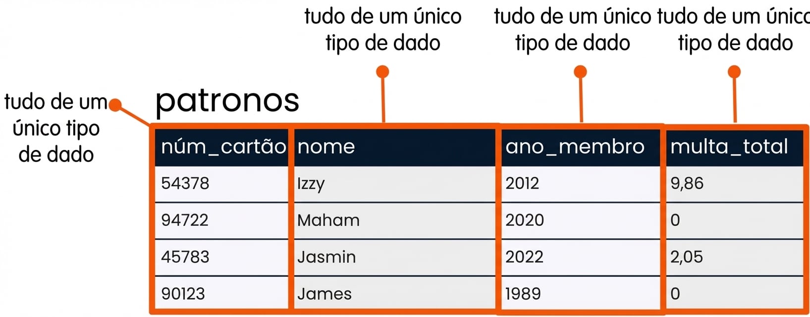 a tabela de clientes com cada campo destacado e indicando que cada um é um tipo de dado