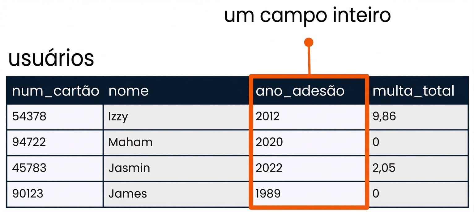 a tabela de clientes com o campo membro_ano destacado como um exemplo de campo inteiro