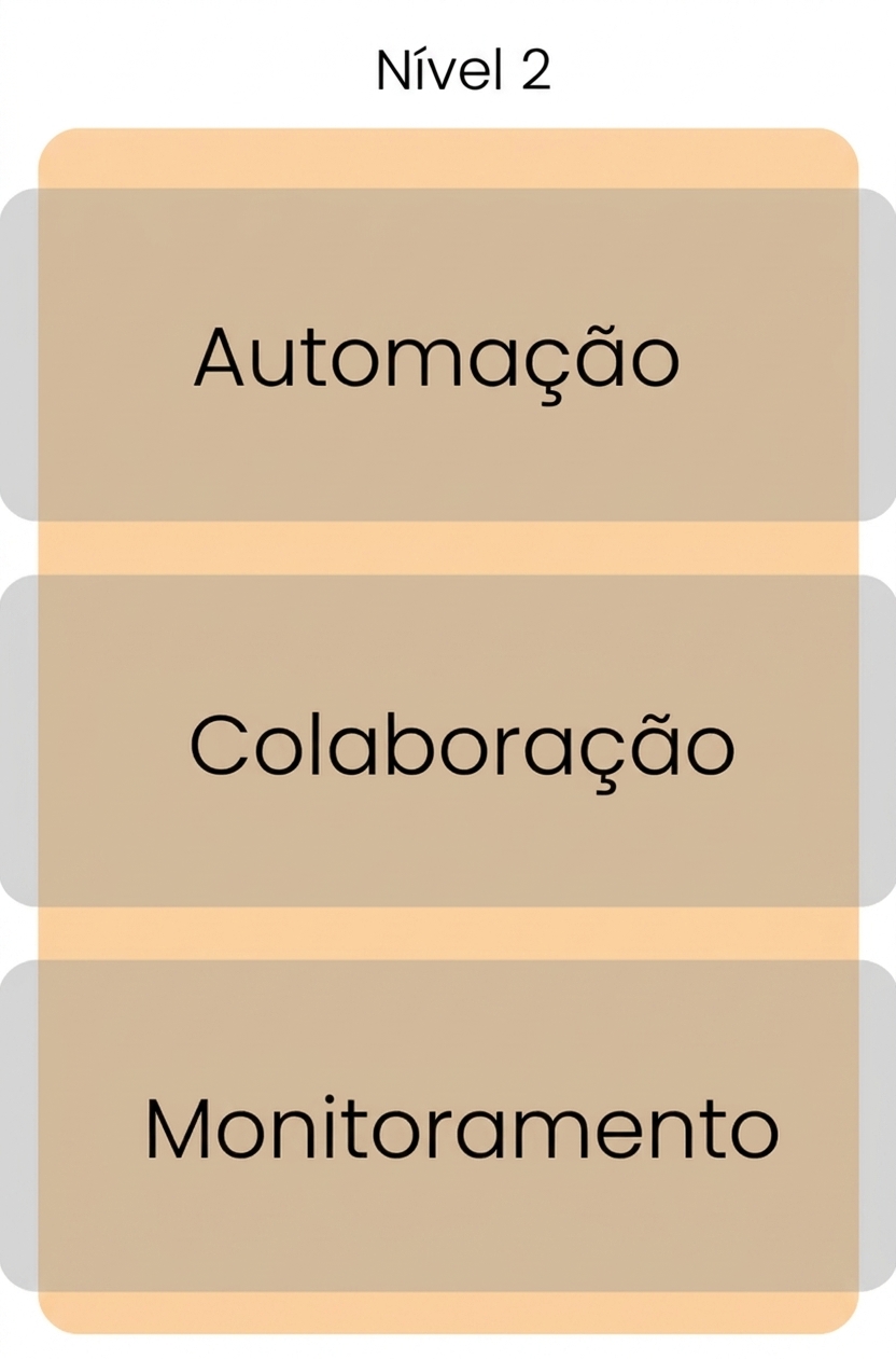 Maturidade nível 2