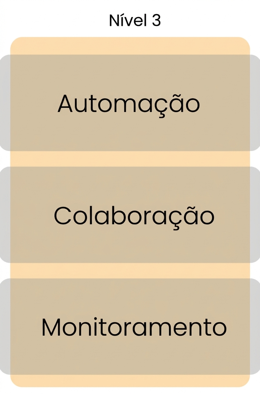Maturidade nível 3