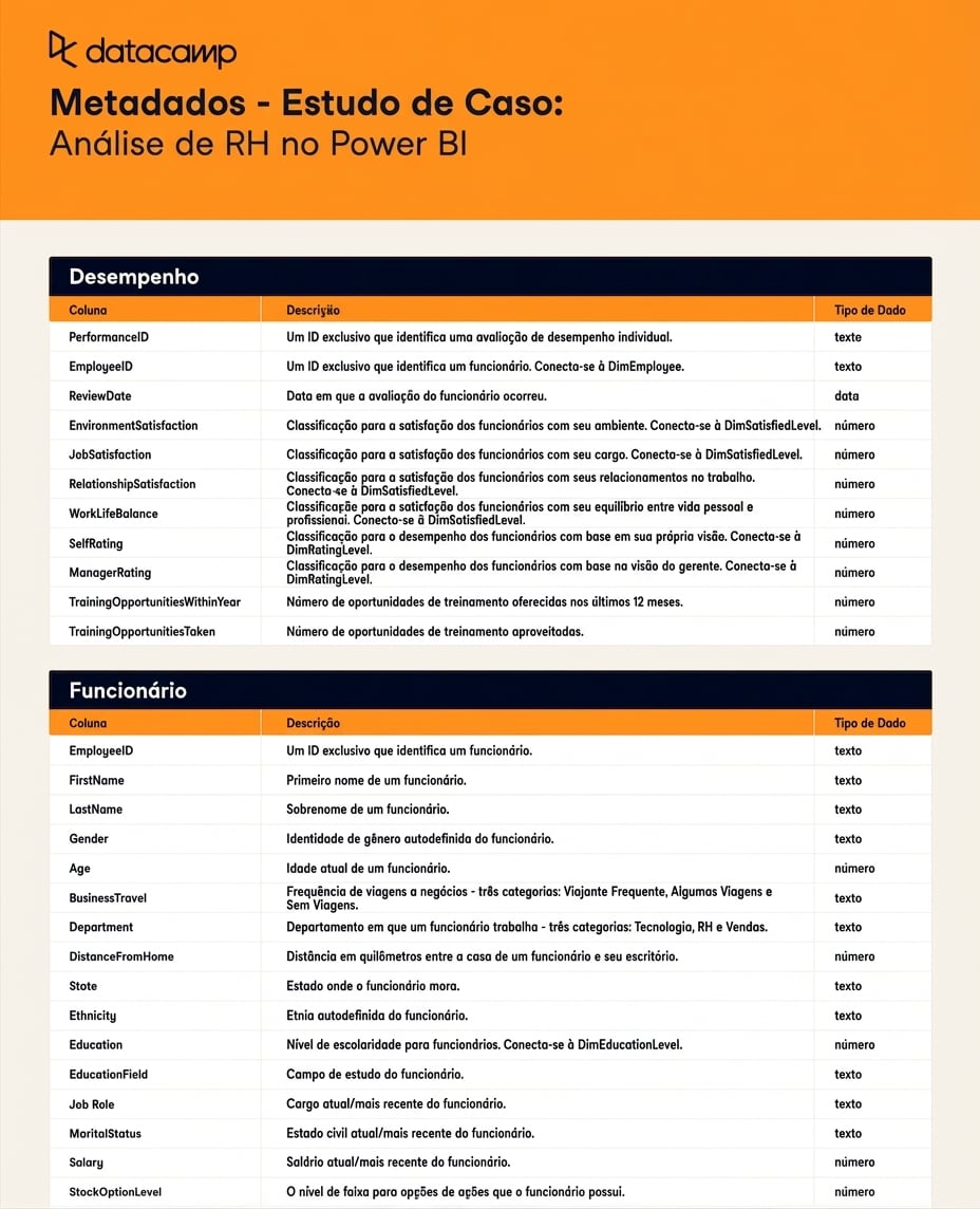 Captura da Planilha de Metadados