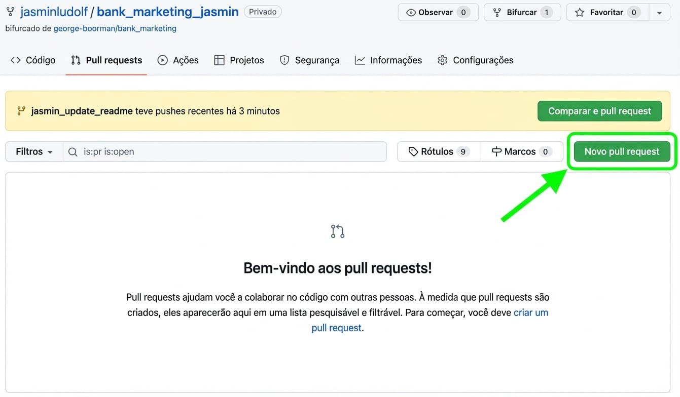 Aba Pull requests no fork com o botão New pull request destacado