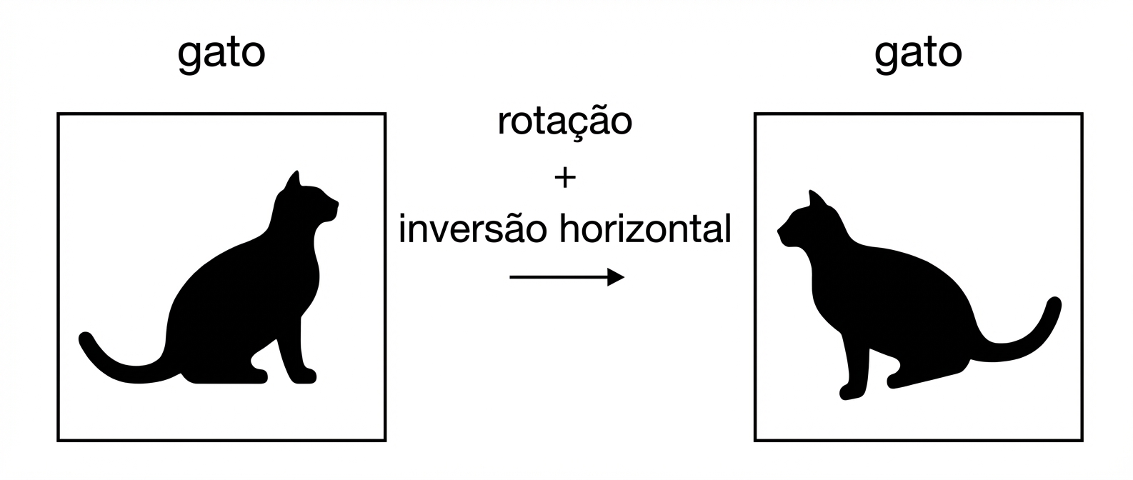 Imagem de um gato espelhada horizontalmente e rotacionada.
