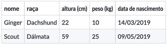 Conjunto de dados contendo dois novos cães
