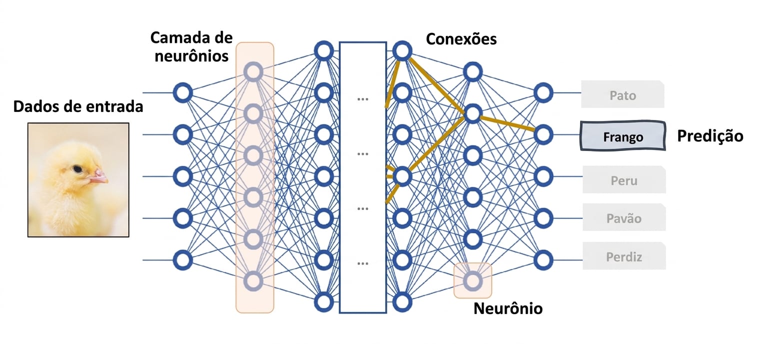 Rede neural profunda como um modelo de caixa preta