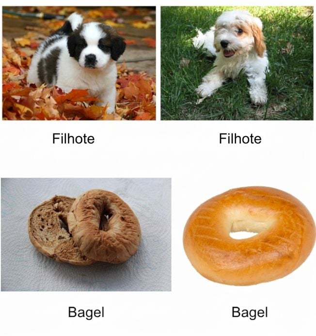 Quatro imagens com legendas, duas imagens de filhotes de cachorro e duas imagens de bagels
