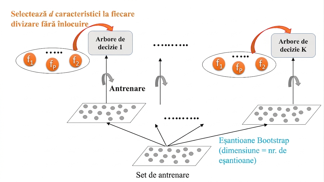 Antrenarea RF