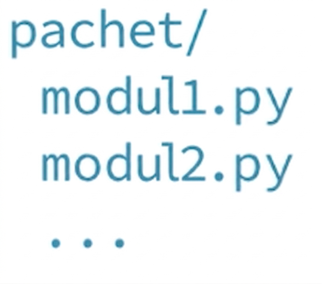 Captură de ecran a pachetelor Python