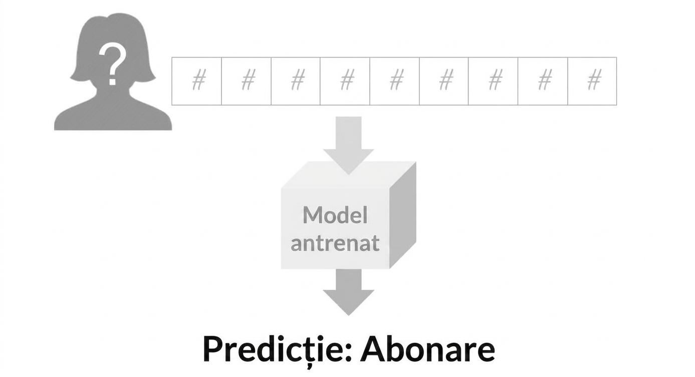 supervised-learning-7.jpg