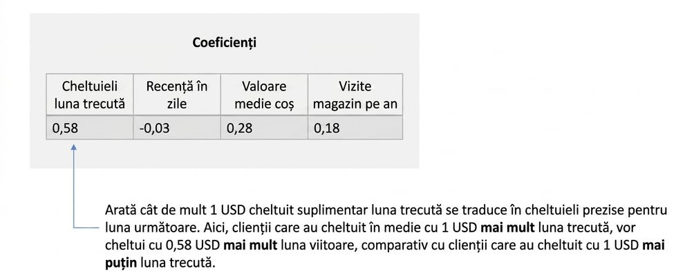inferență-interpretare