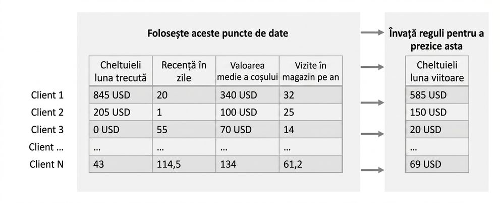inferență-învățare