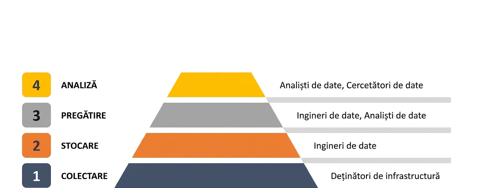 data-scientist