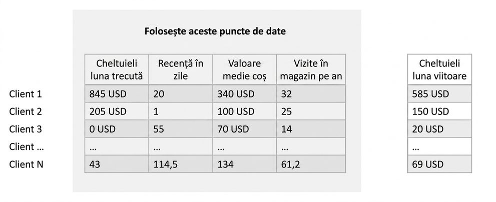 inferență-antrenare