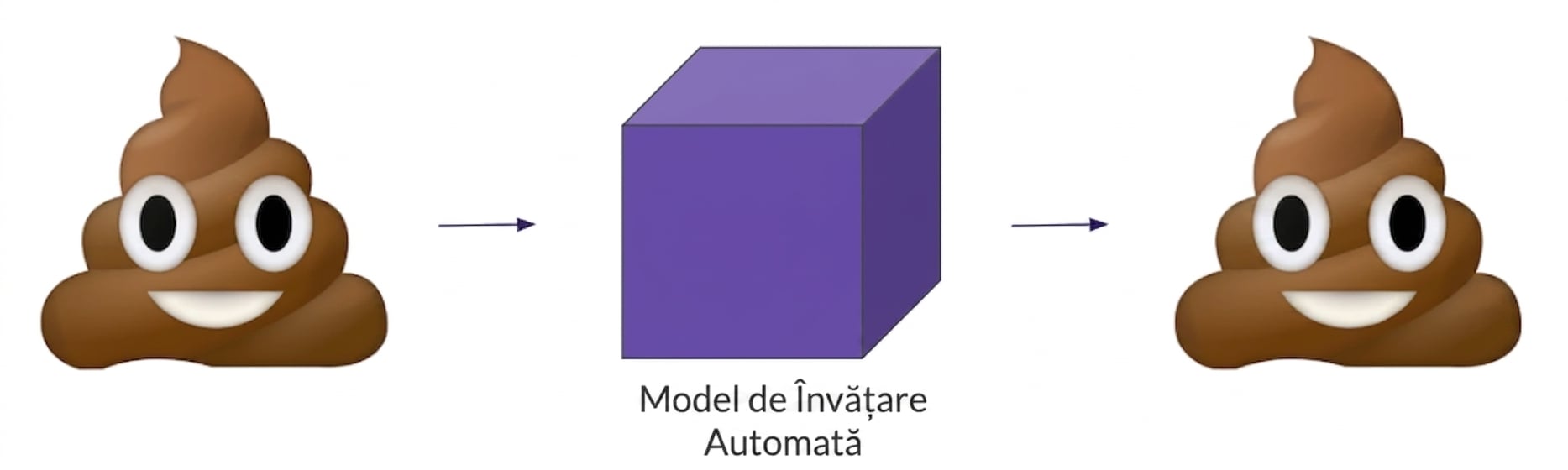 Gunoi la intrare, gunoi la ieșire