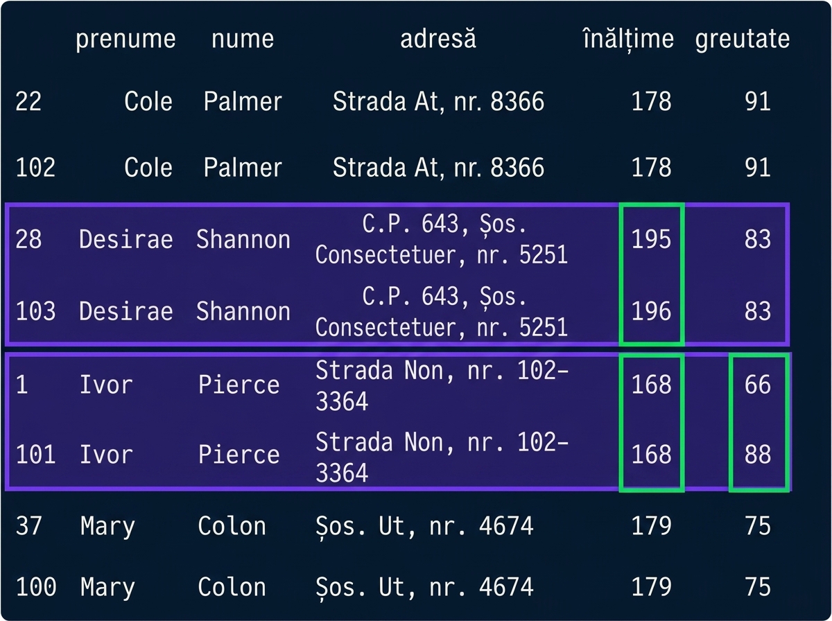 1_3_partial_duplicates.png
