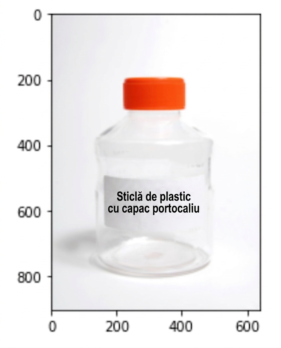O imagine a unei sticle de plastic