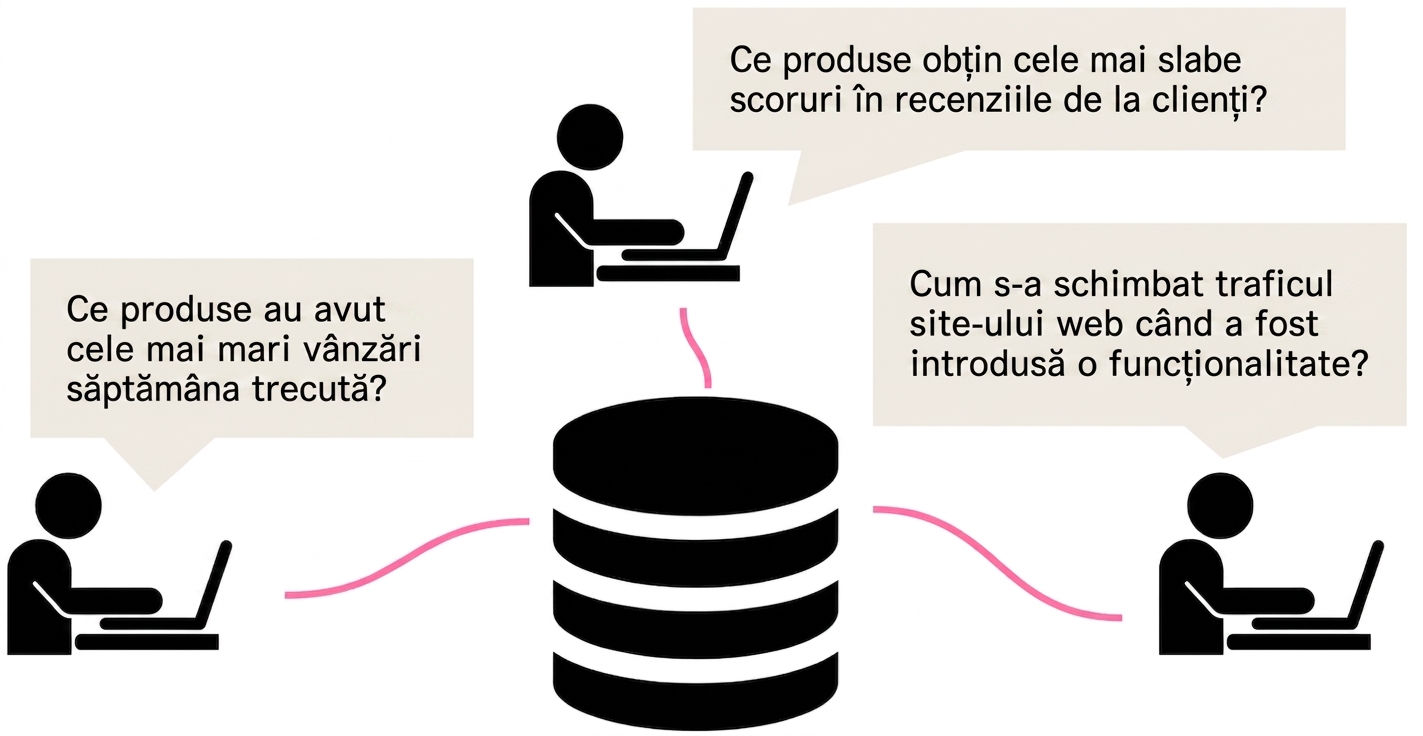 persoane care adresează întrebări de business unei baze de date