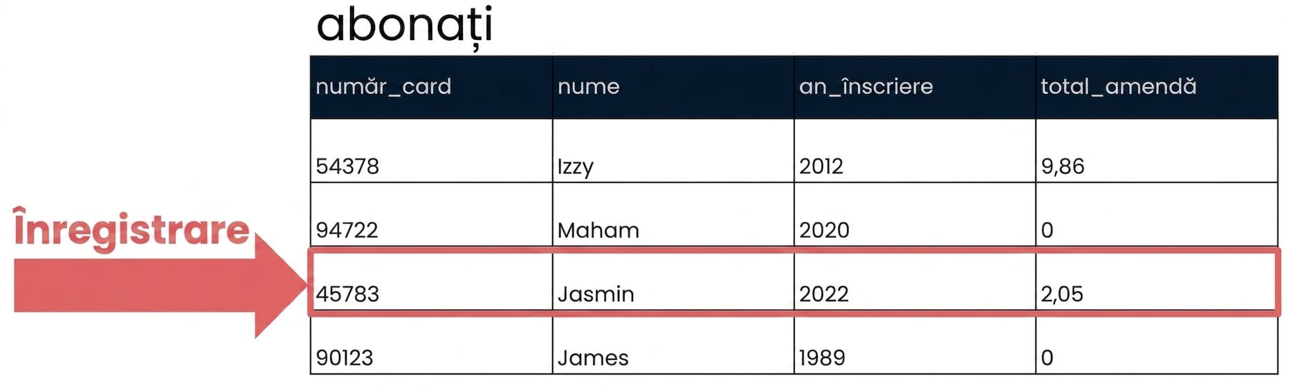 tabelul patrons cu o singură înregistrare evidențiată