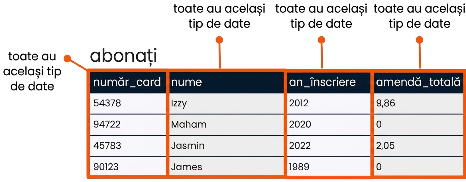 Tabelul patrons cu fiecare câmp evidențiat, indicând că fiecare are un tip de date