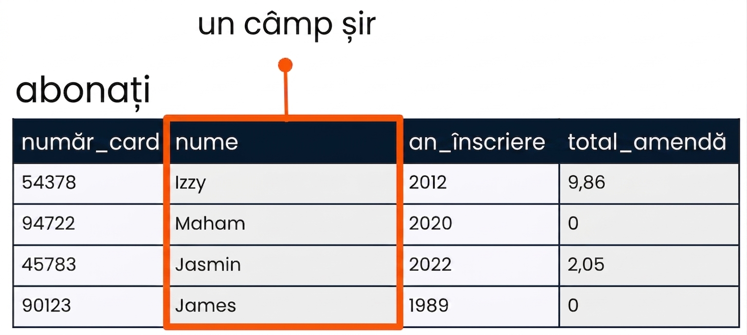 Tabelul patrons cu câmpul name evidențiat ca exemplu de câmp de tip șir