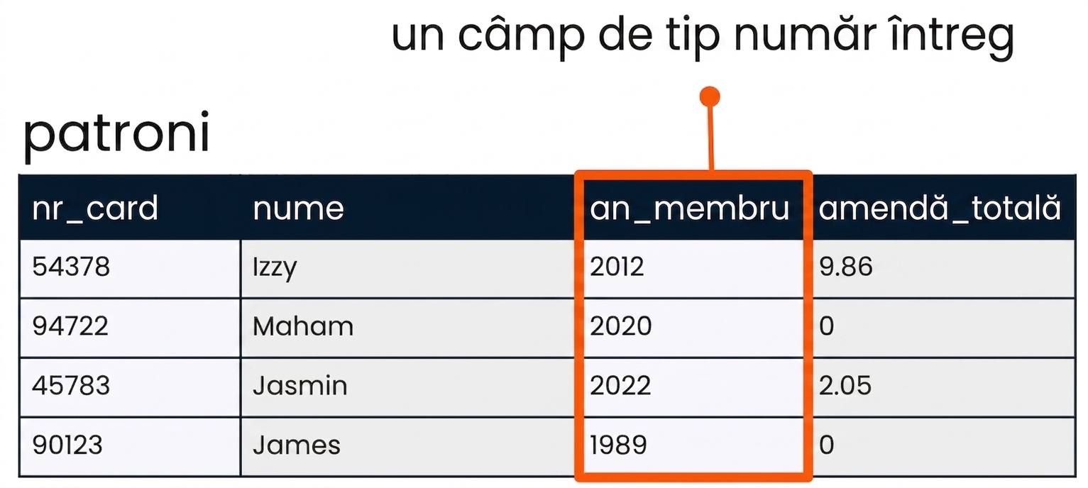 Tabelul patrons cu câmpul member_year evidențiat ca exemplu de câmp de tip întreg