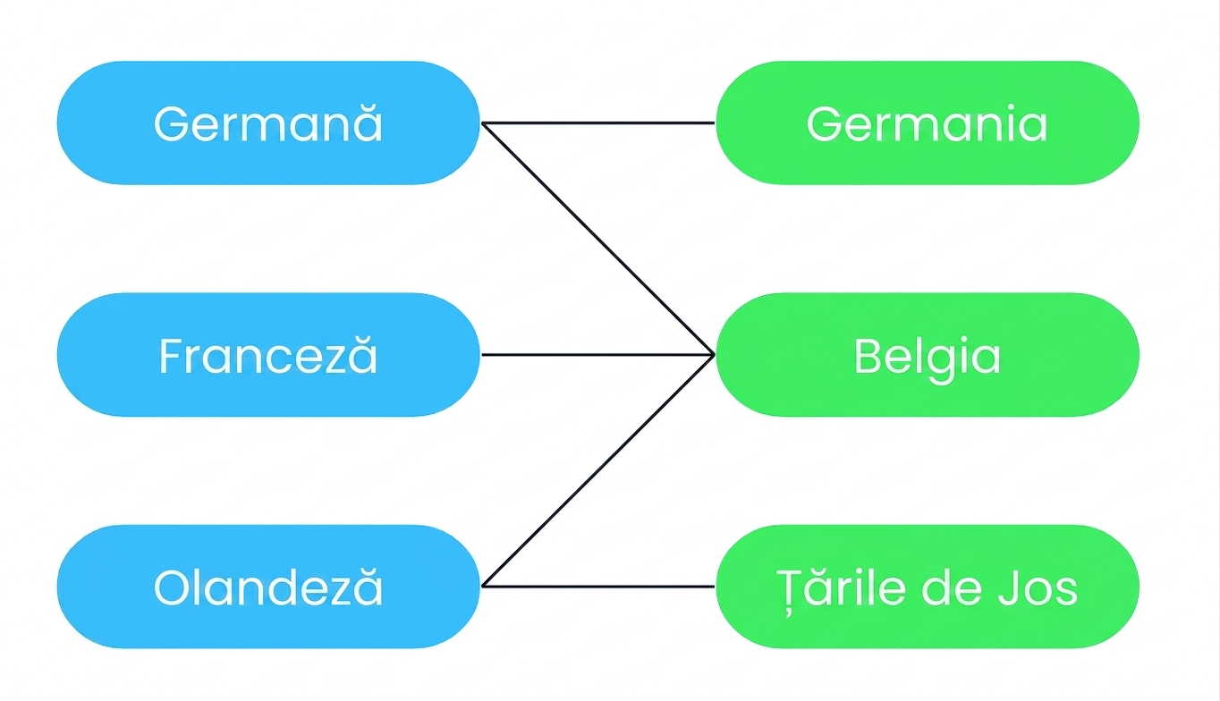 O diagramă care arată că mai multe limbi pot fi asociate cu mai multe țări și invers. Belgia are trei limbi oficiale: franceză, germană și neerlandeză. Neerlandeza este limbă oficială atât în Țările de Jos, cât și în Belgia, dar nu și în Germania.