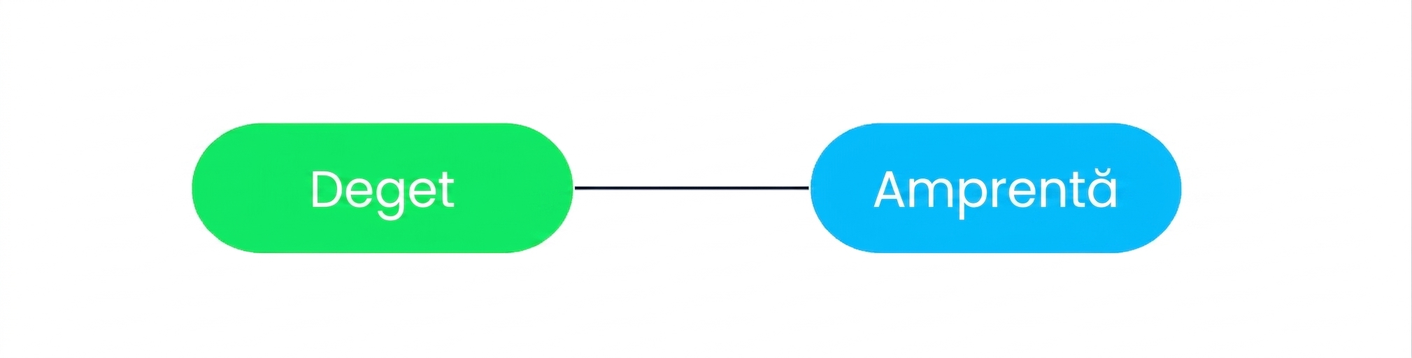 O diagramă care arată că o amprentă poate fi asociată doar cu un singur călător.