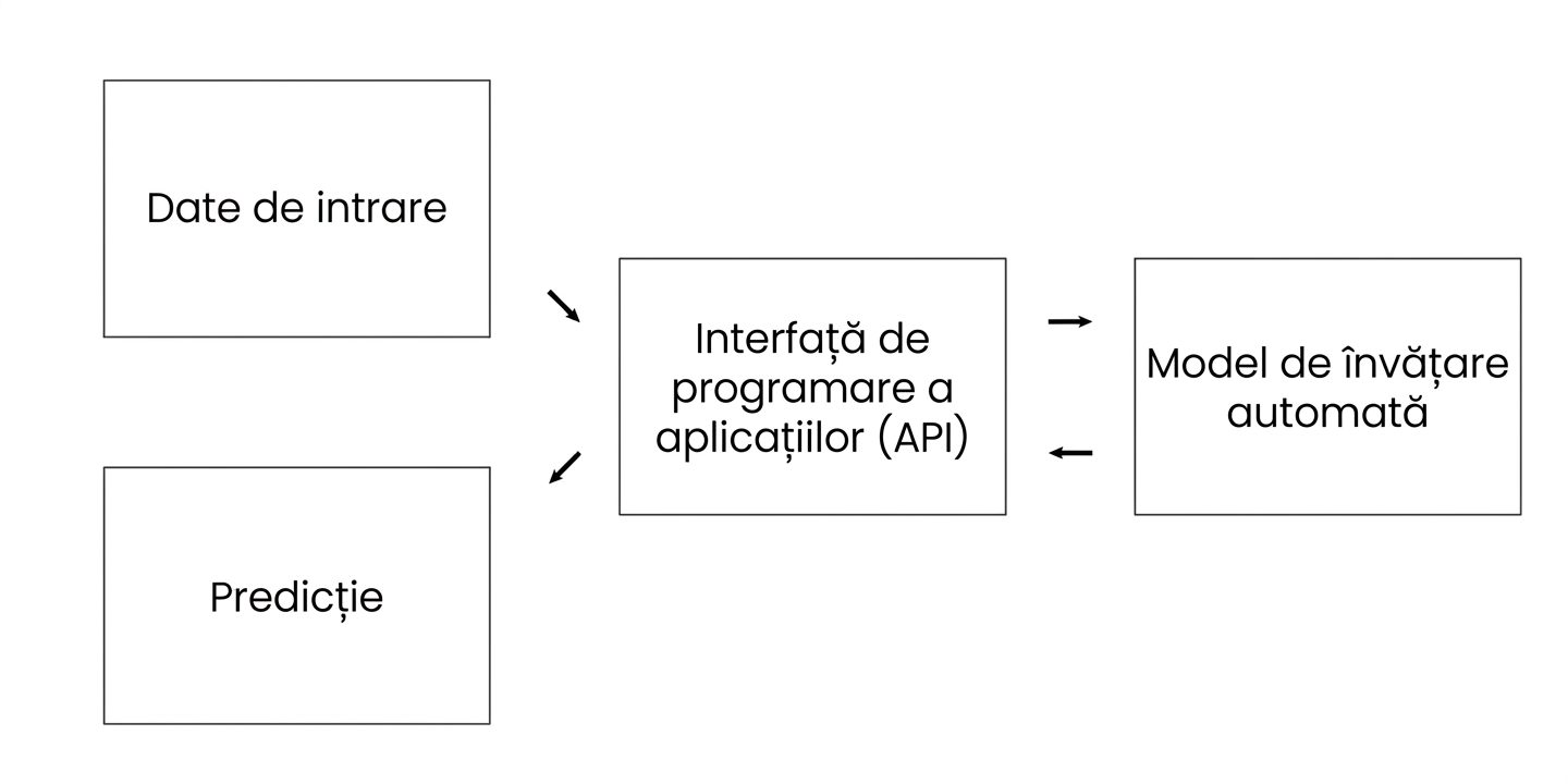 Application programming interface excluding information