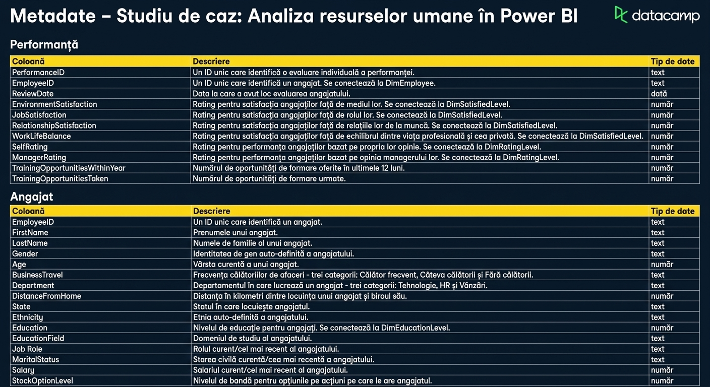 Captură ecran foaie de metadate